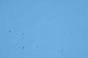 Espace réparation nettoyage capteur