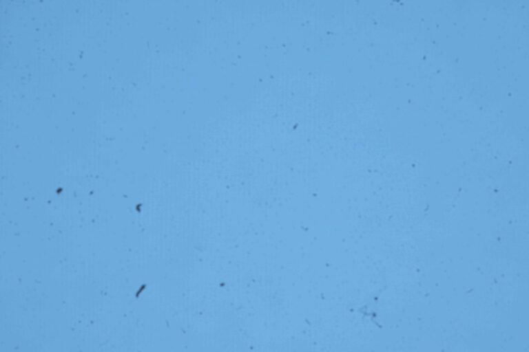 Espace réparation nettoyage capteur